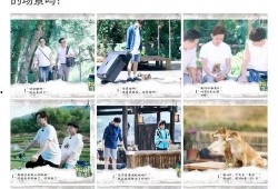 向往5最新爆料,明星们的新奇生活大揭秘！