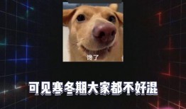 娱乐吃瓜 八卦图片,八卦图片背后的惊人真相