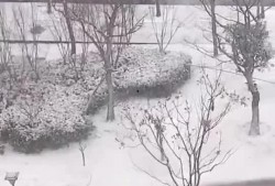 宿迁今日爆料最新消息视频,今日视频揭秘惊人内幕