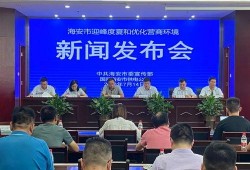 海安新闻最新爆料,重大事件背后真相揭晓