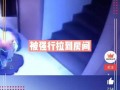 最新情况爆料视频,事件真相全解析