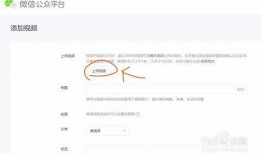 怎样在视频公众号爆料,轻松掌握信息传播之道