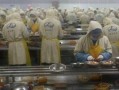 剥虾工人爆料视频播放下载,揭秘海鲜加工行业幕后真相