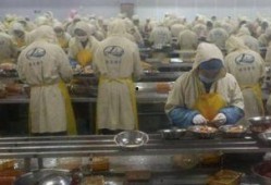 剥虾工人爆料视频播放下载,揭秘海鲜加工行业幕后真相