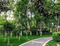 汝州都市爆料最新消息,都市风云再起，揭秘背后惊人真相！