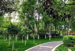 汝州都市爆料最新消息,都市风云再起，揭秘背后惊人真相！